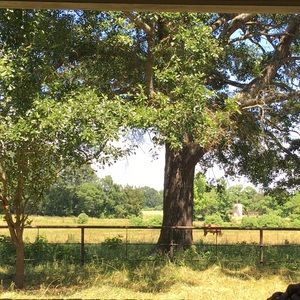 Meet your Posher, Valorie